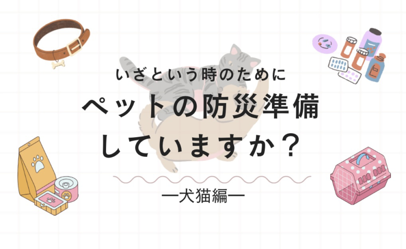 いざという時のために ペットの防災準備をしていますか?犬猫編