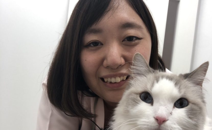 阿部愛玩動物看護師、復帰しました!