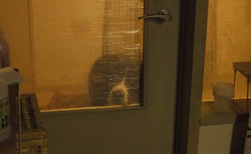 人生は孤独である