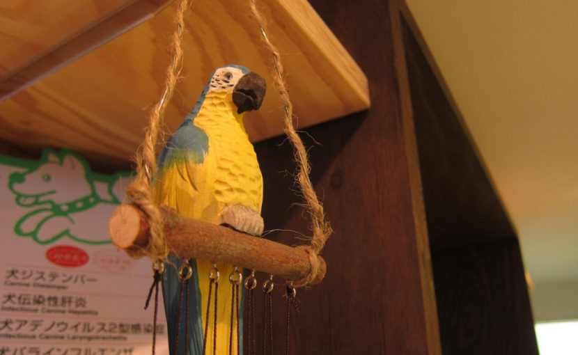 セキセイインコのメガバクテリア症