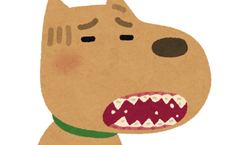 犬猫の歯周病ってなに?