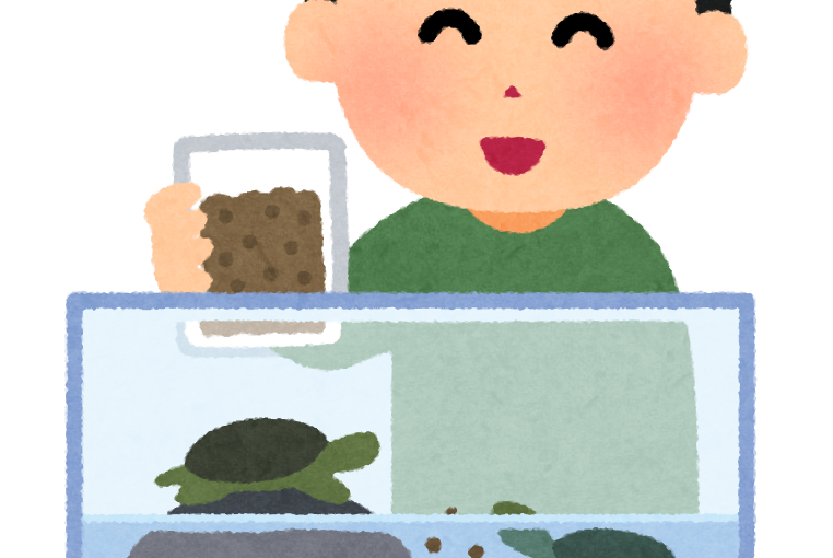 爬虫類の食欲不振、原因色々…①