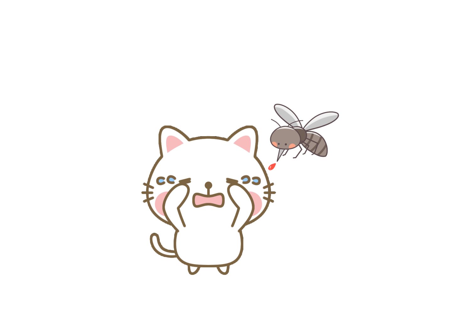 ワクチンだけじゃない猫の予防のお話