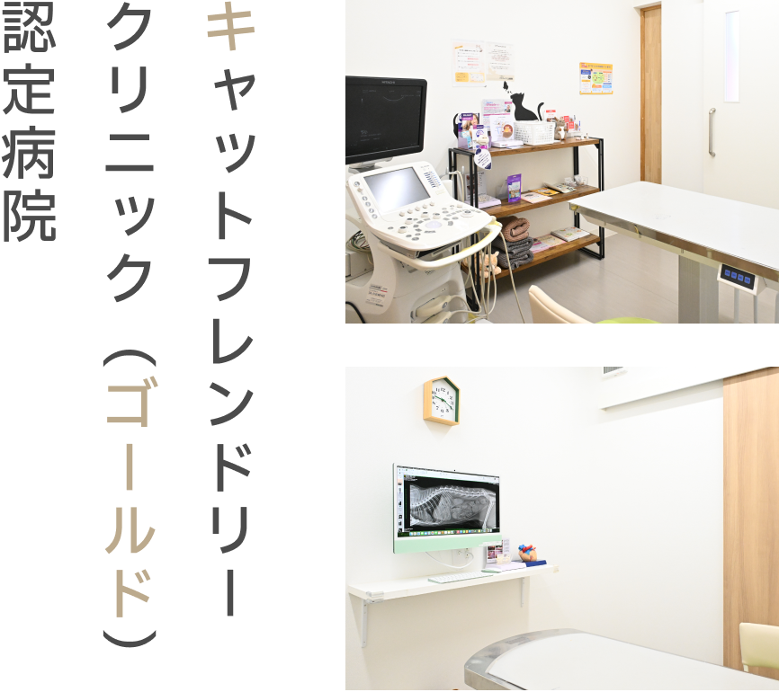 キャットフレンドリークリニック（ゴールド）認定病院