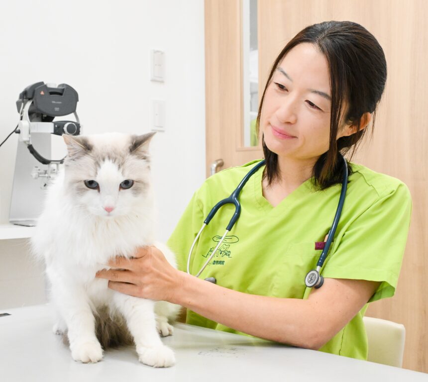 キャットフレンドリークリニック（ゴールド）認定病院
