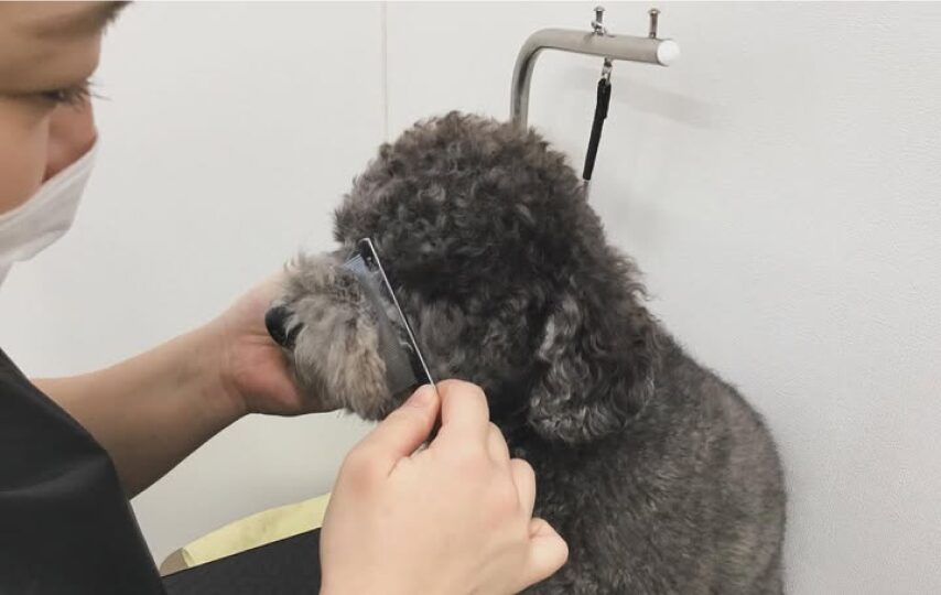 皮膚科診療に力を入れています