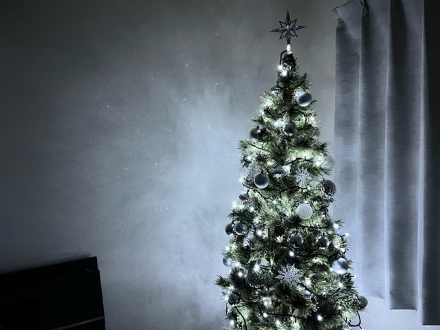 メリークリスマス in 2022
