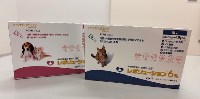 猫ちゃんもフィラリア症への予防始めませんか?