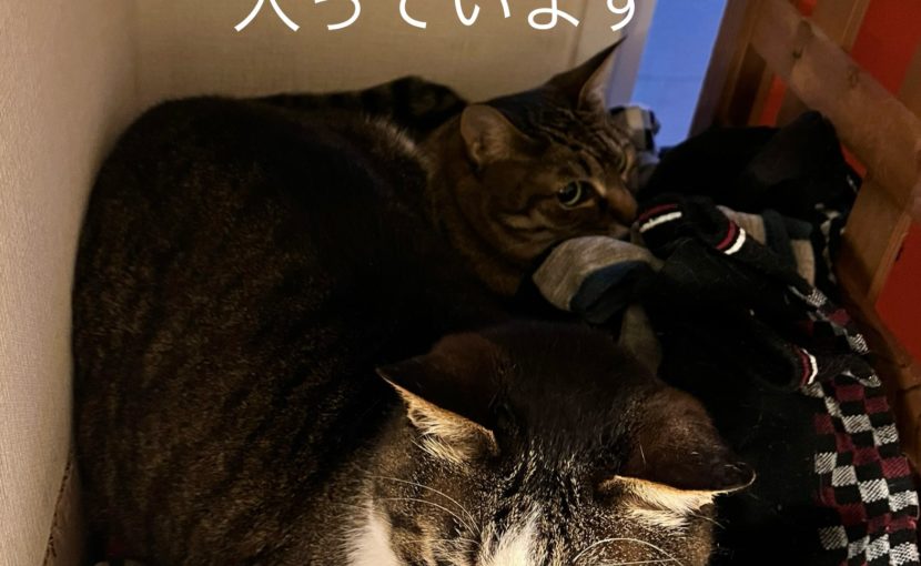 グリーフケアの勉強を始めています