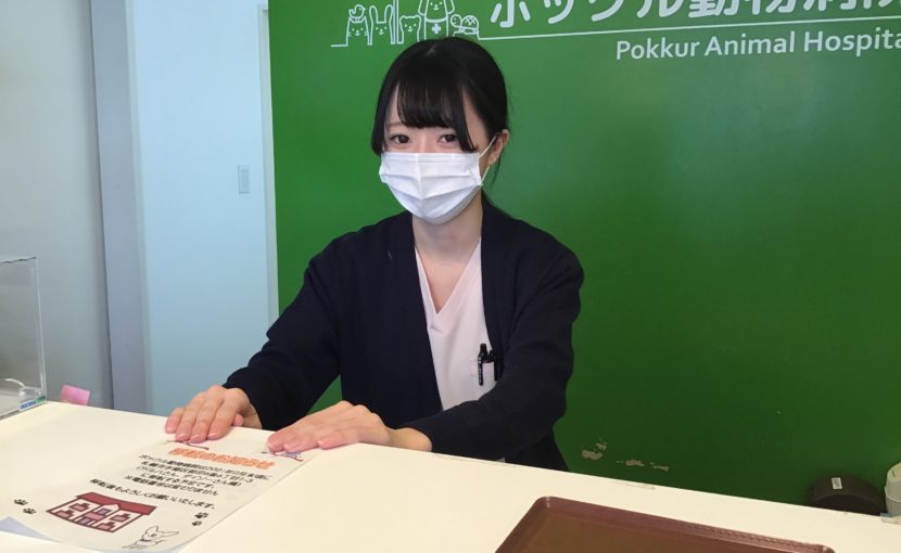 初めまして、受付の蘇武です