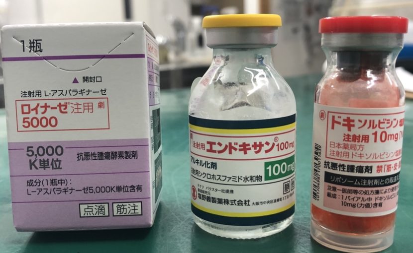 動物に使う抗がん剤について