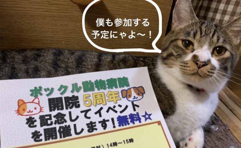 5周年イベントやります!!
