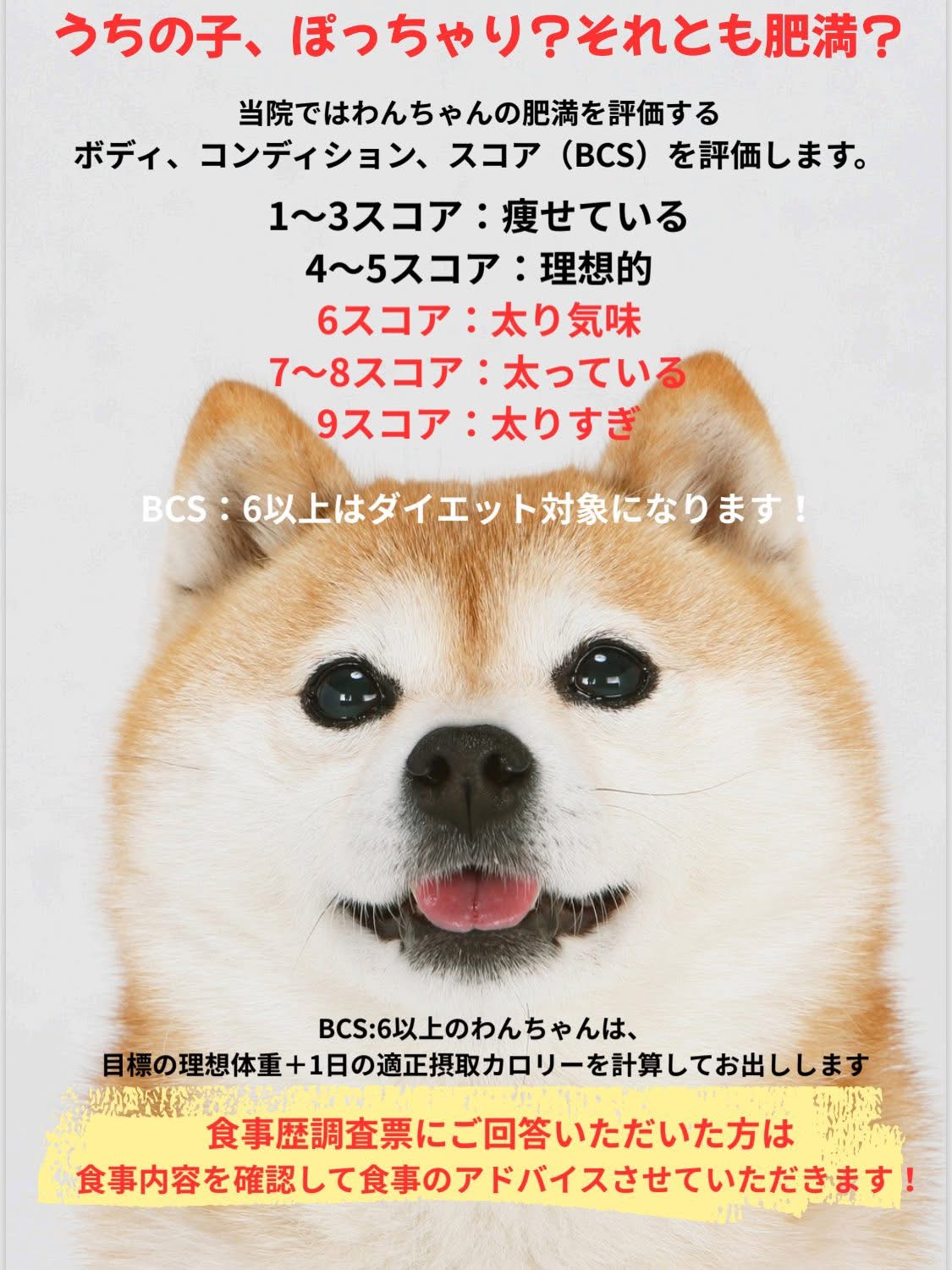 食欲の秋こそ、愛犬の体重管理を見直してみませんか？