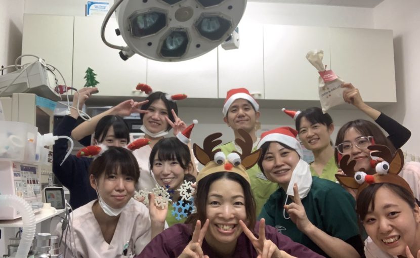 ポックル動物病院2021振り返り