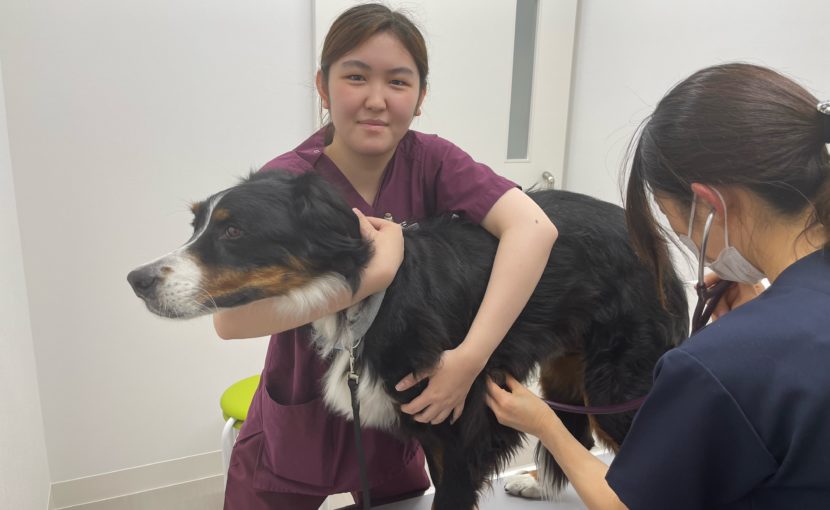 はじめまして 看護師の大岩です