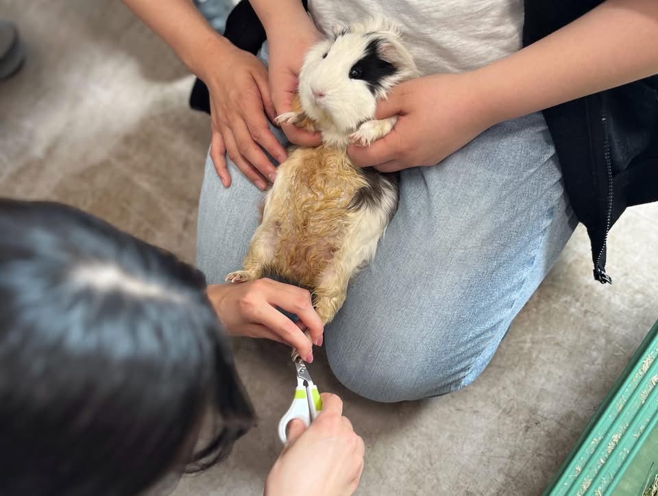 未来の動物業界を担う学生達