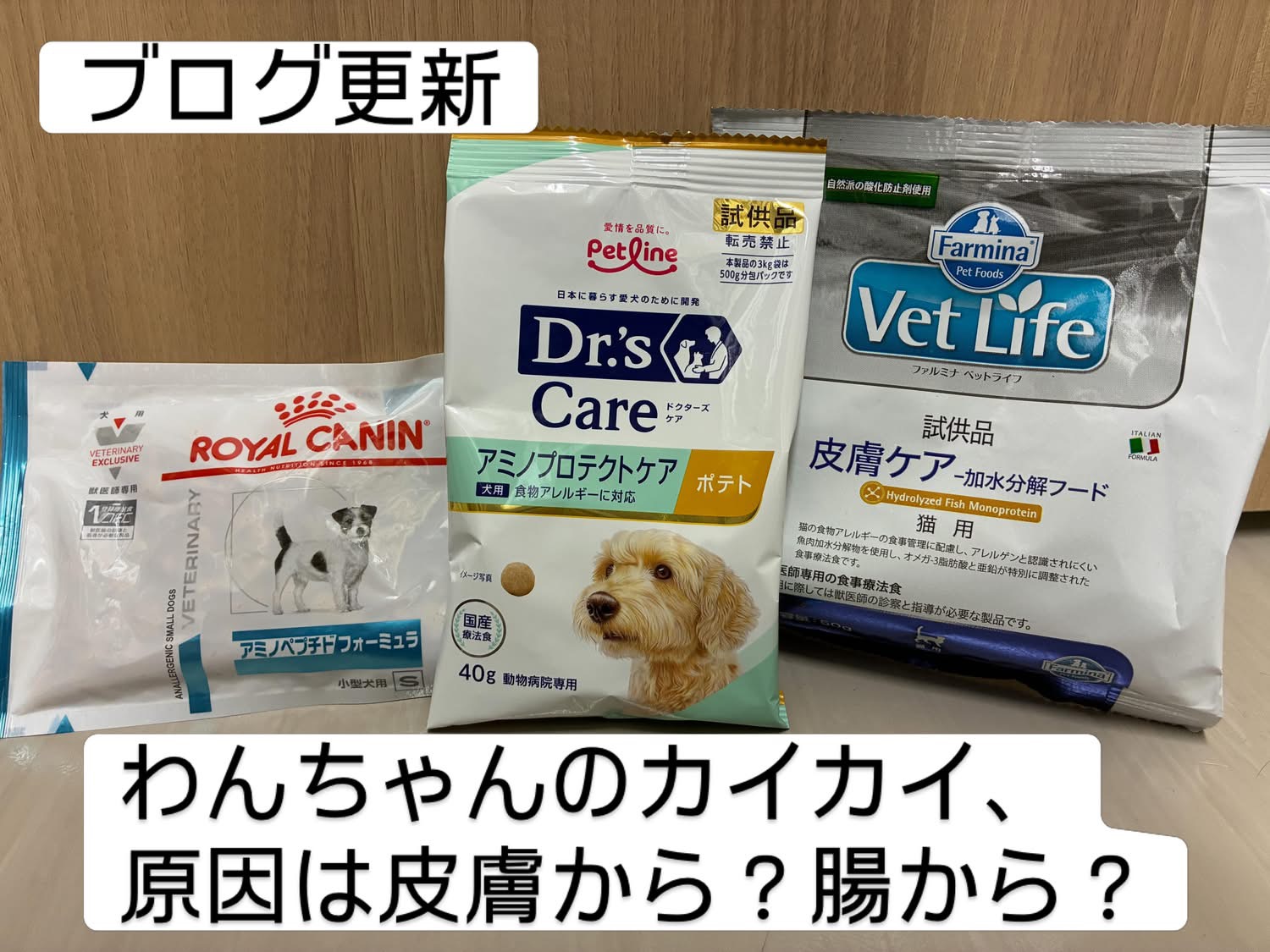 わんちゃんの痒み、原因は皮膚から?腸から?