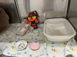 ペットホテル利用ってどんな感じ?