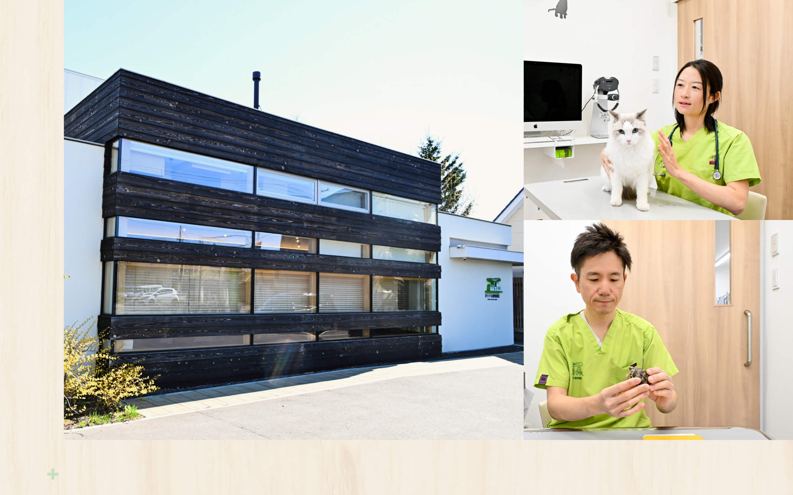 知識と幸せを循環させて動物と人に優しい未来を作る