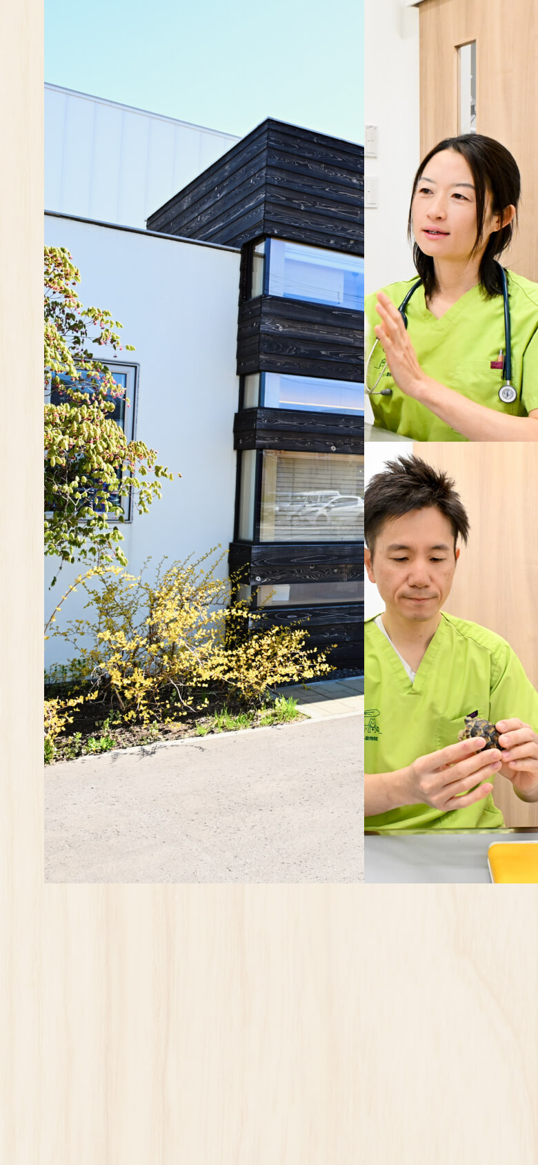 知識と幸せを循環させて動物と人に優しい未来を作る