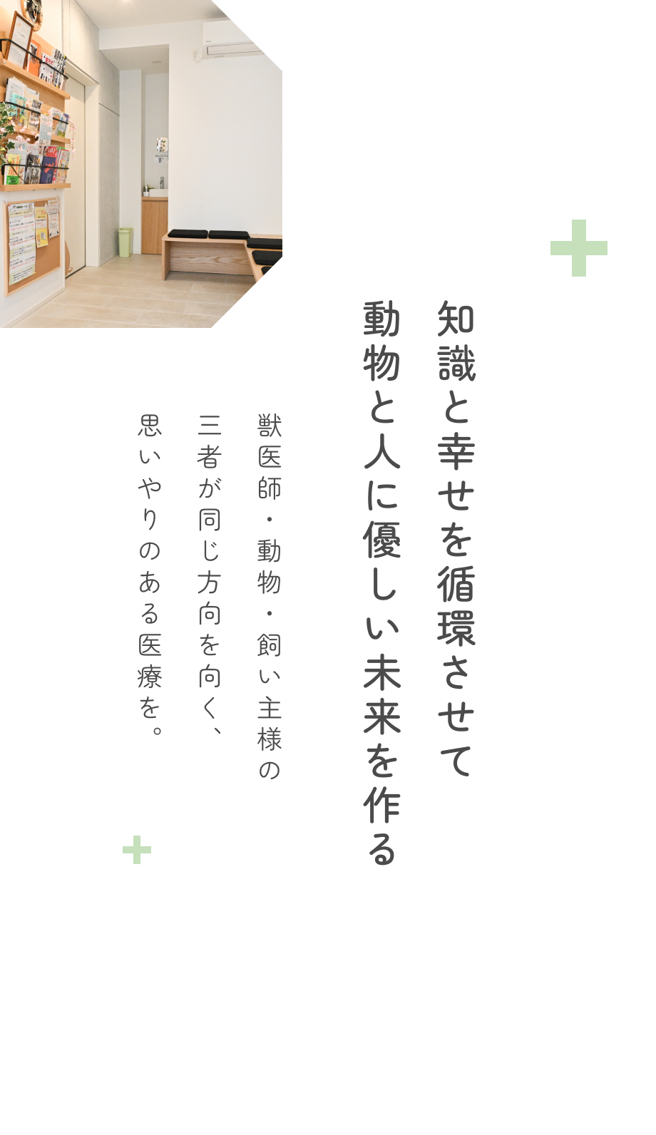 キャットフレンドリークリニック（ゴールド）認定病院