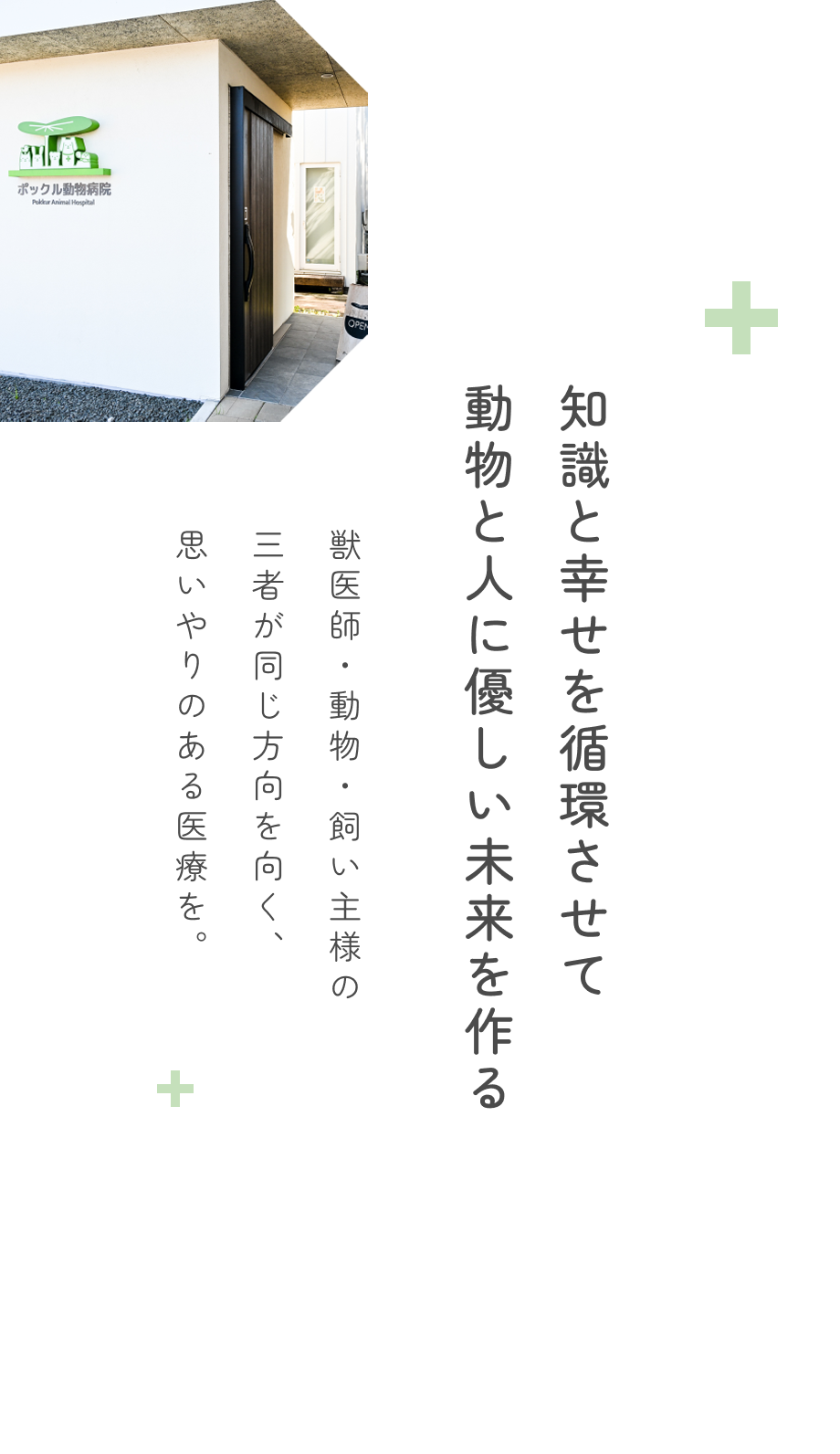 キャットフレンドリークリニック（ゴールド）認定病院