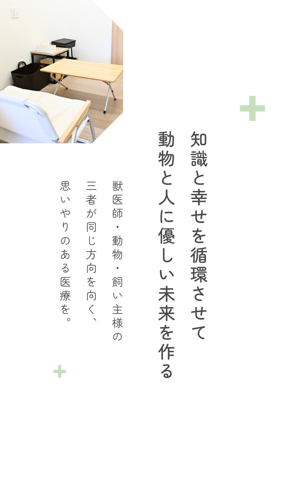 キャットフレンドリークリニック（ゴールド）認定病院