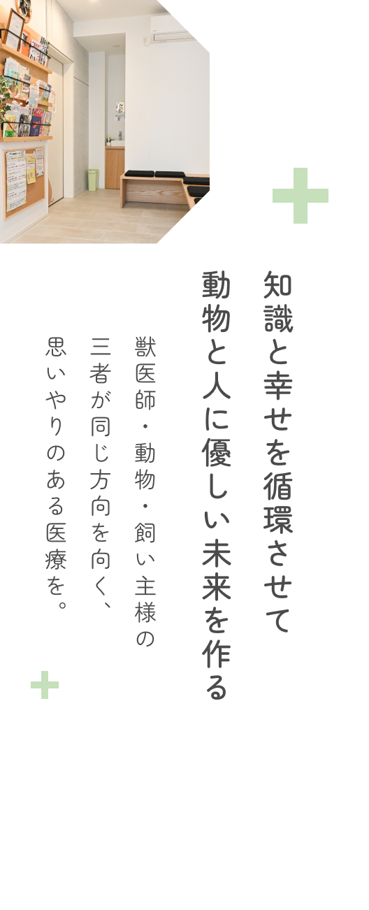 キャットフレンドリークリニック（ゴールド）認定病院