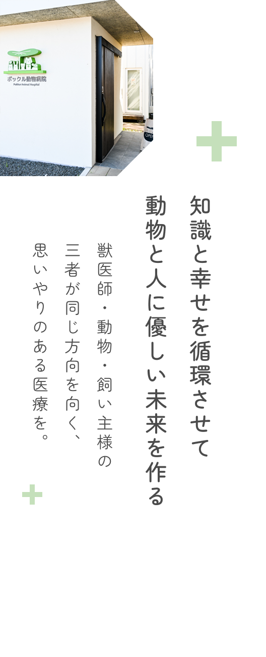 キャットフレンドリークリニック（ゴールド）認定病院