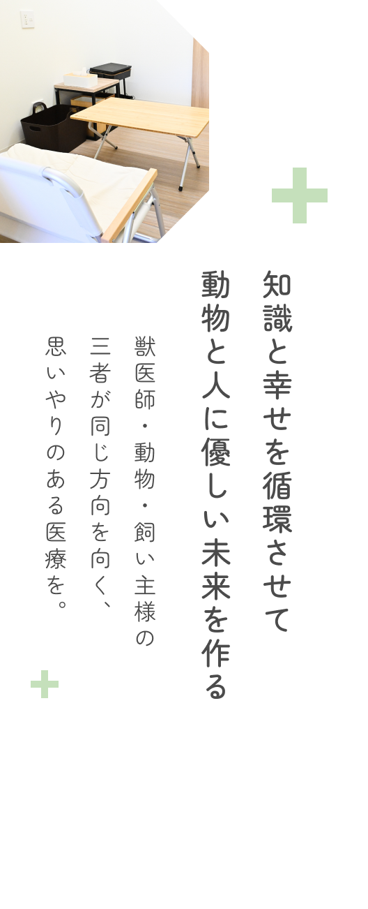 キャットフレンドリークリニック（ゴールド）認定病院