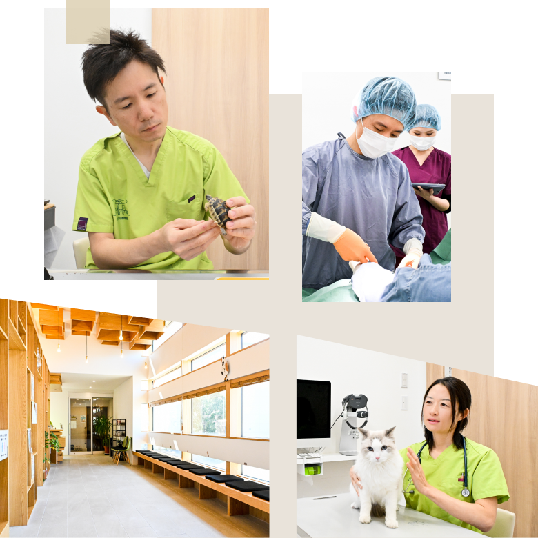 院長あいさつ