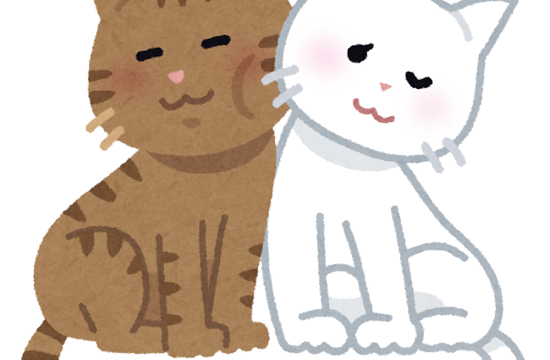 新入りの猫をお迎えする前に!