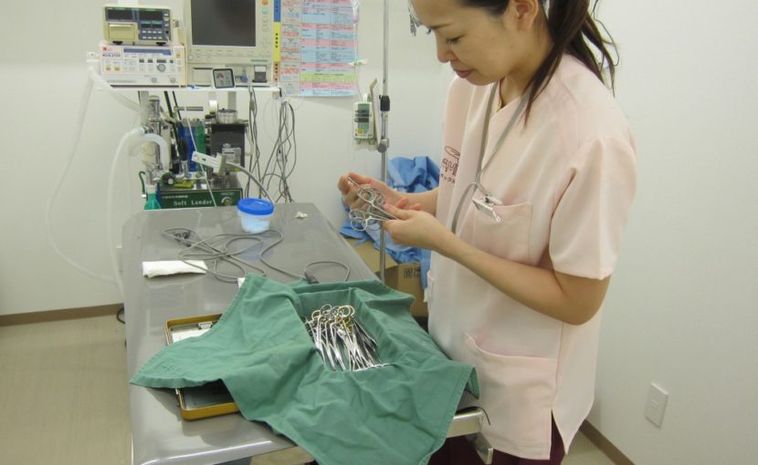 はじめまして、看護師の沢田です