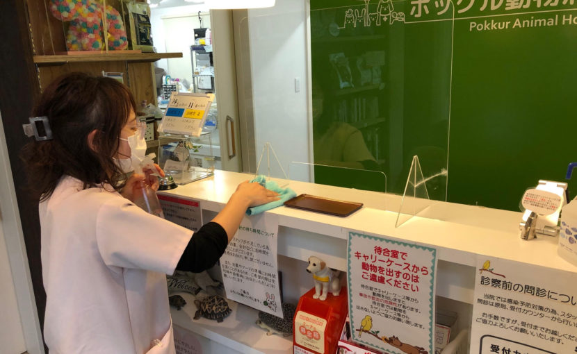 新型コロナウイルス~自分が感染したらペットは?~