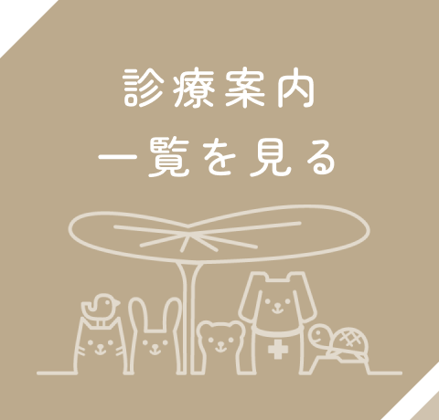 診療案内一覧を見る