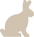 ウサギ