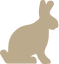ウサギ
