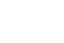 フェレット
